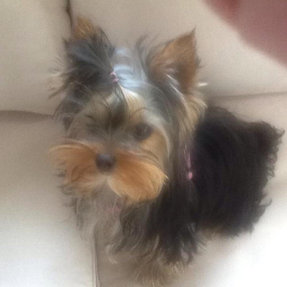 Meet your Posher, Edie